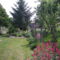 Cententhus - Sarkantyúvirág a jobb sarokban