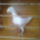Feher_him_1744005_7212_t