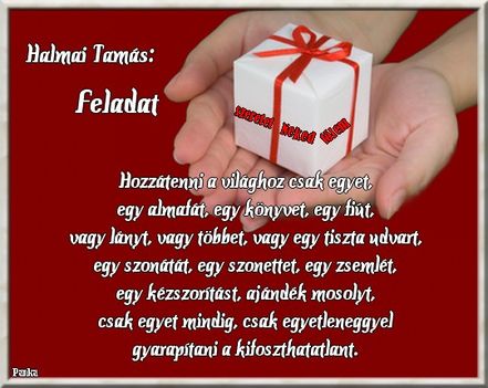 Feladat
