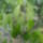 Itt_van_az_osz_4_1744167_9079_t