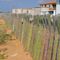 Nálunk a tiszafa és a tuja kerítés a nagyon elterjedt, addig Mexikóban a kaktusz kerítés.