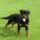 P5250064_1744211_8797_t