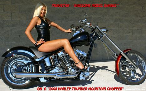 Harley Davidson-0325-full