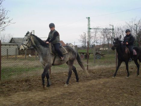 Kónyi lovasok, 2013.