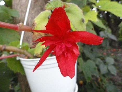 DSC01046