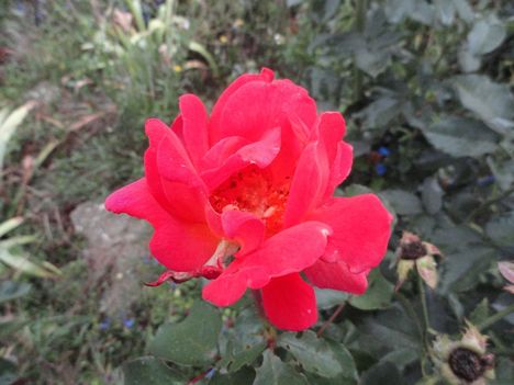 DSC01048