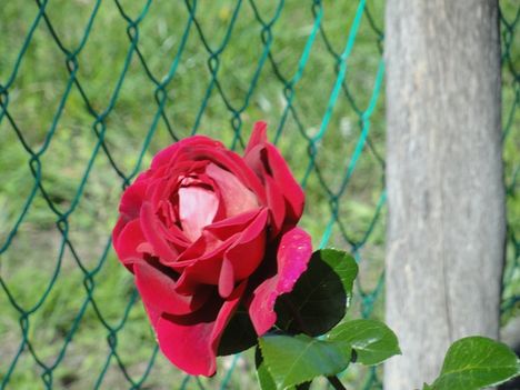 DSC01077