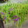 Ok_meg_kint_viritanak_3_1748680_8847_t