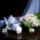 Jo_reggelt_es_kellemesszep_napot_barataim_1740988_3447_t