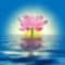 Spirit Lotus Flower.