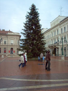 Szeged karácsonyfája