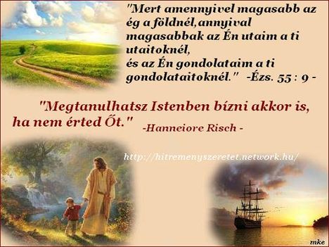 Áldott,szép napot  kivánok!