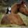 Lo__1751414_9170_t