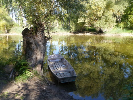 Oszkár tó, Kisbodak, 2013. október 03.-án