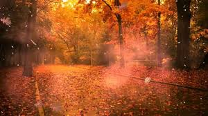 Aranysárga falevél - Ősz borul már az erdőre