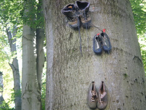 Cipők a fán