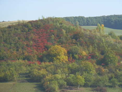 Őszi tájkép