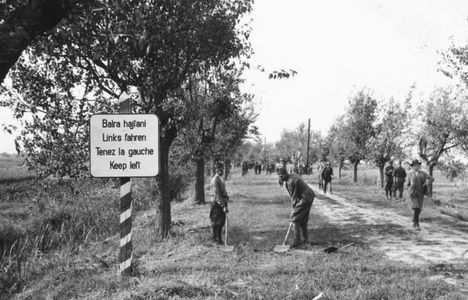 1938. Az első bécsi döntés után visszafoglalt felvidéki területen balrahajts volt érvényben