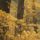 Avartaposo_tura_2012_10_22_a4_1757615_1484_t