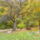 Dscn7905_1757431_3780_t