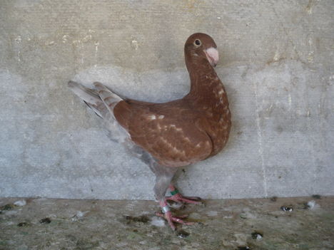 IMGP3044