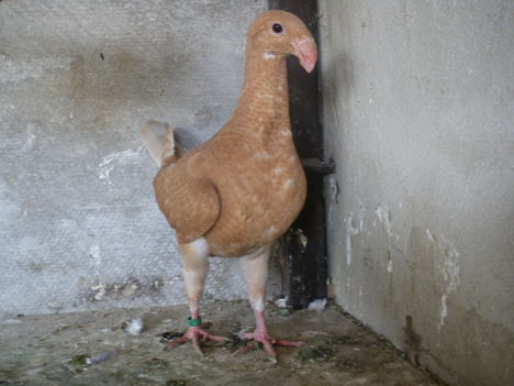IMGP3055