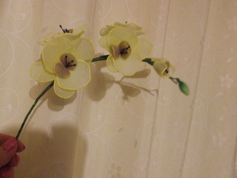 orchidea szál