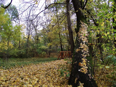 KASTÉYPARK PÁCIN