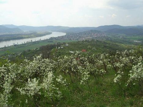 Duna Verőcénél