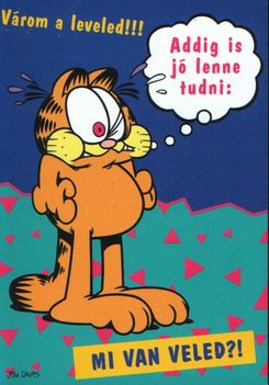 Garfield várja a leveled