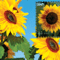 Scott-4347-Sunflower-1400