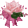 Virágparádé rózsaszinben