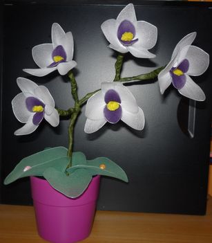 orchideám :)