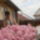 Ambrus_eva_1766309_9677_t