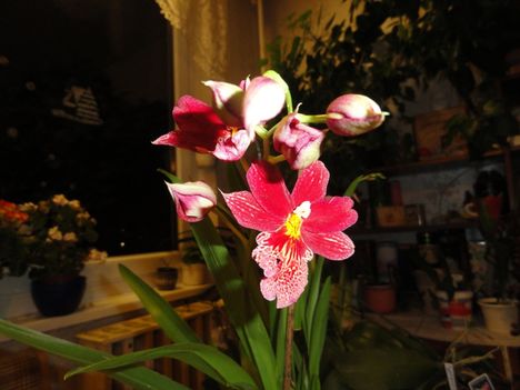 DSC01347