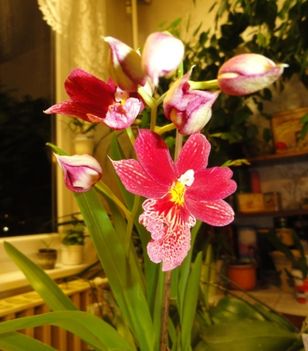 DSC01350