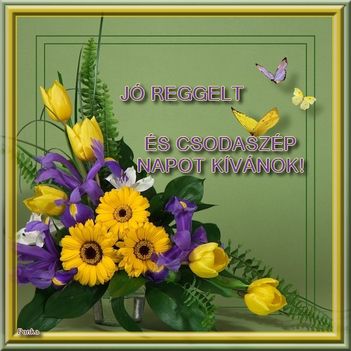 Jó reggelt