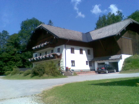 Alpesi ház