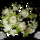 Latogatoktagok_koszontese_5_1767827_1231_t