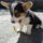 Nem_en_ragtam_szet_a_cipodet_1769533_5637_t