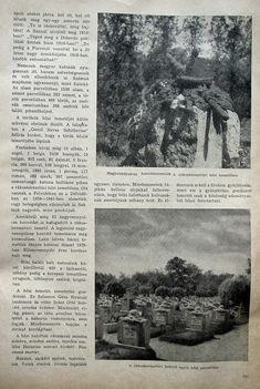 Őszi látogatás a halott katonák városában, Új Idők, 1943.10.30. 525. o