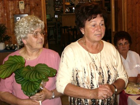 2007. Abda baráti kör nyugdíjas találkozó