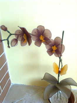Egyszálas cserepes orchidea