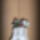 Img_2527_1771650_9965_t