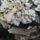 Gombak_2_1772522_1768_t