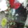 Gombak_3_1772523_6704_t