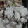 Gombak_6_1772526_3581_t