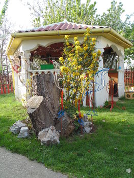 DSC00555