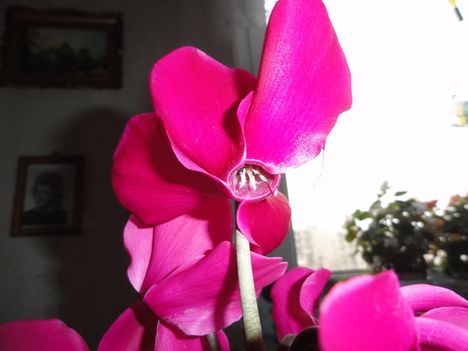 DSC01528