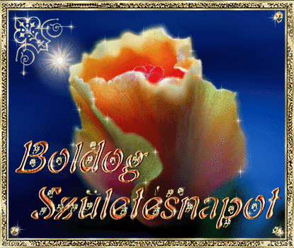 Nemes Csilla